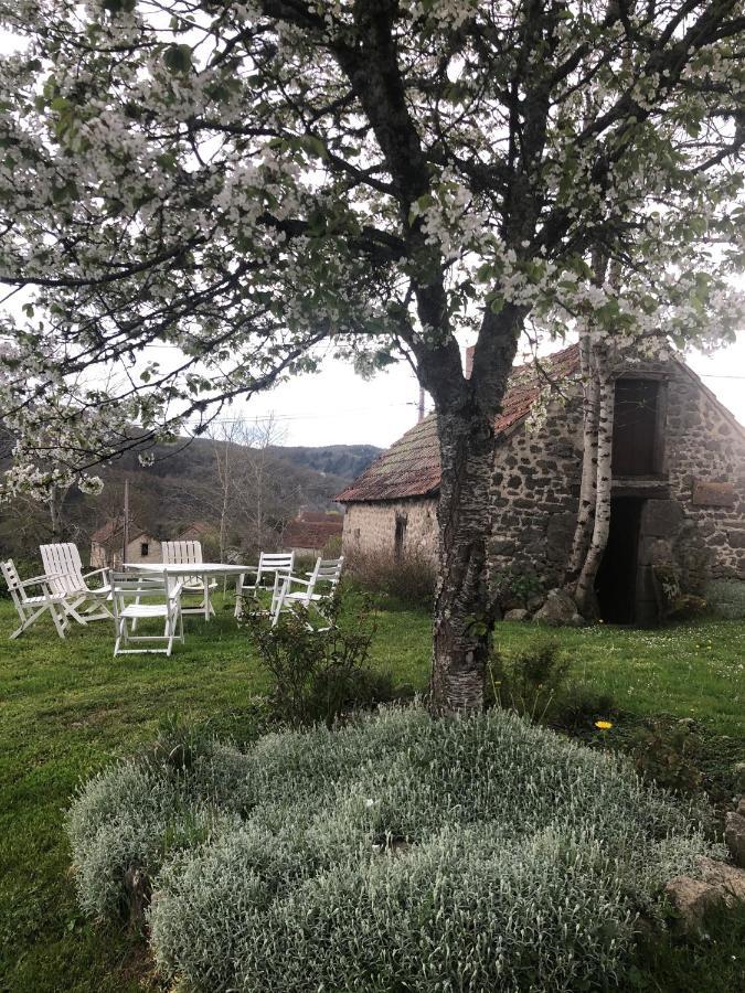 Maison D'Hotes Ourdeaux Et Gite Chez Rouchon Alleyrat  Eksteriør billede